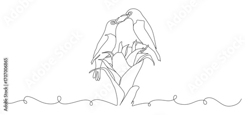 Photography continuous line of two birds perched on a tree and chirping