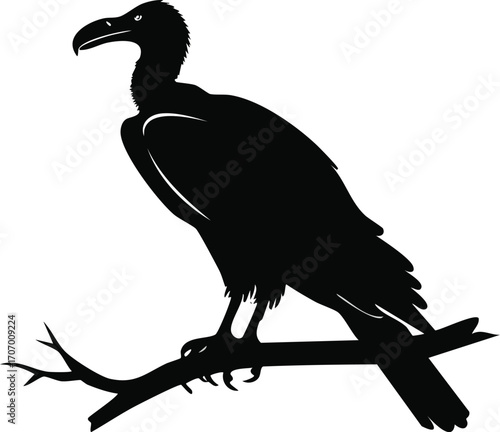 A majestic black silhouette of a vulture perched on a branch.