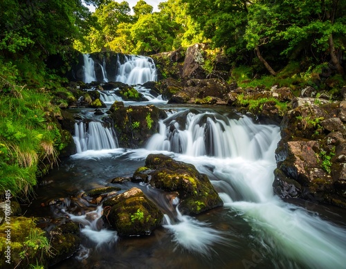 Cascading waterfall in lush forest