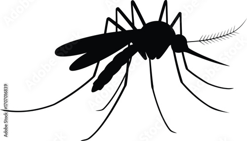 Black silhouette of a mosquito with long legs and antennae