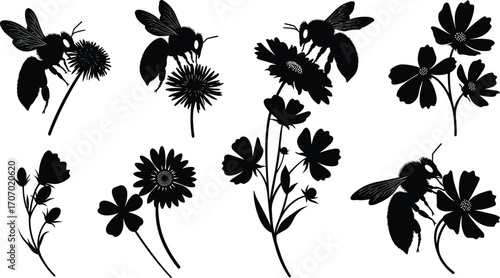 Bee and flower silhouettes in various pollination poses, insect wildlife vector set, honeybee graphic, garden nature illustration, floral design elements collection