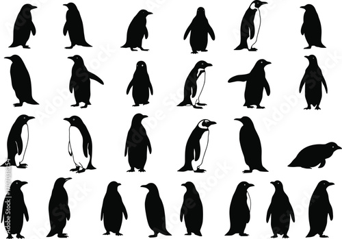 Black and white penguin silhouette collection, various penguin poses, vector animal illustration, wildlife clipart, cartoon Antarctic birds, isolated design set.