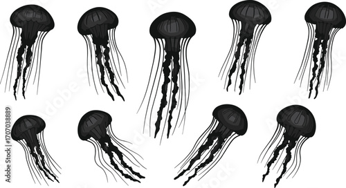 Jellyfish silhouettes with long tentacles in various poses, marine wildlife vector set, ocean animal graphic, tropical sea creature illustration, aquatic design elements collection