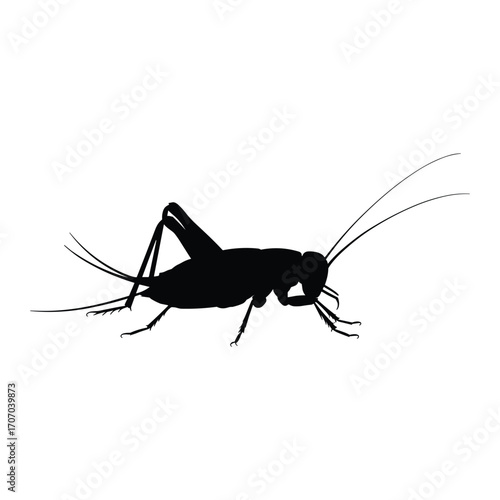 Wallpaper Mural Silhouette of a cricket with long antennae and legs on a white background Torontodigital.ca