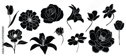 Black and white Flower element vector set.  Silhouette botanical with floral, stalk, branch, leaves. Design illustration for card, packaging, sticker, decorative.