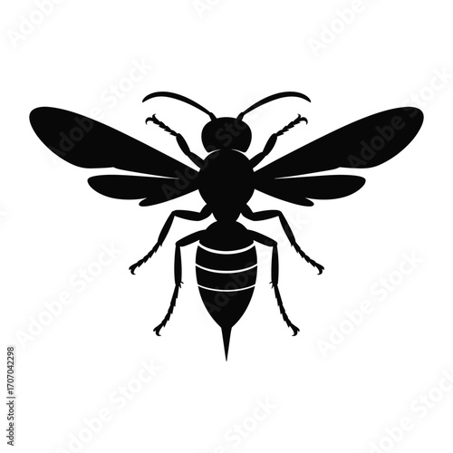 Silhouette of a wasp insect with spread wings and segmented body on a white background