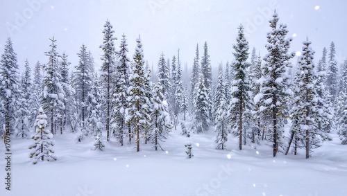 Wallpaper Mural Snowy pine forest landscape winter wonderland scene nature Torontodigital.ca