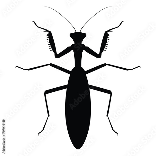 Silhouette of a praying mantis insect with its characteristic praying posture