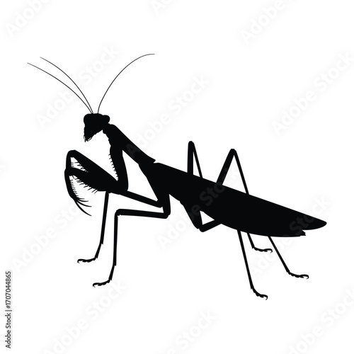 Silhouette of a praying mantis with its distinctive forelegs raised