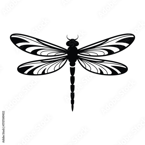 Elegant black silhouette of a dragonfly with intricate wing patterns