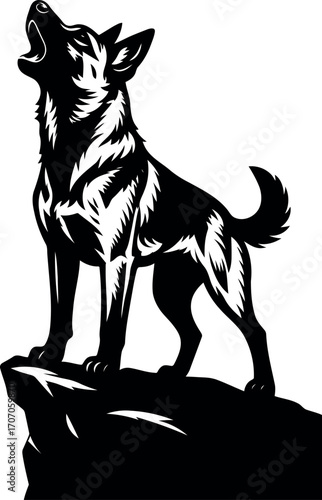 Belgian Malinois Guard dog howling on a rock silhouette