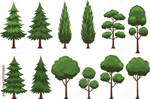 Set of green pine and leafy trees, different tree types, forest plants illustration, nature elements, outdoor environment, eco-friendly design.