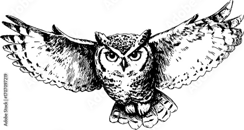 Owl in black and white outline. Vintage illustration featuring intricate details of a flying bird vector.