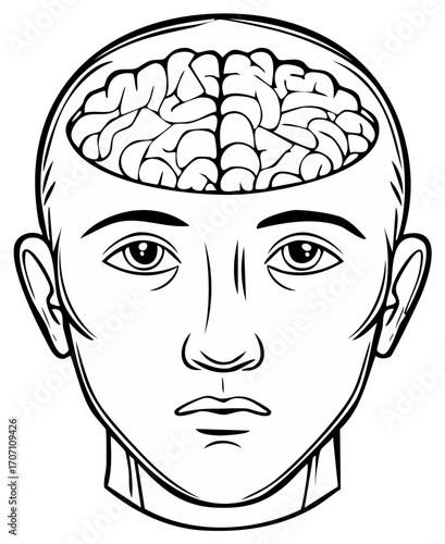 Human head illustration depicting brain inside open skull, cognitive concept.