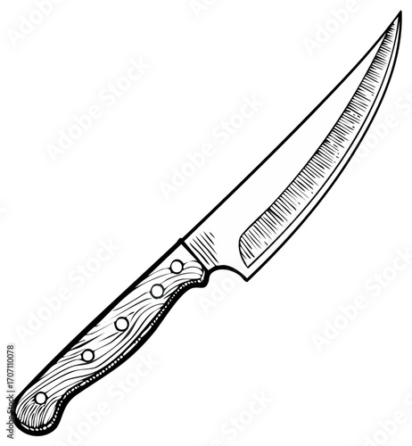 Detailed Hand Drawn Knife Illustration featuring a Wooden Handle and Metallic Blade