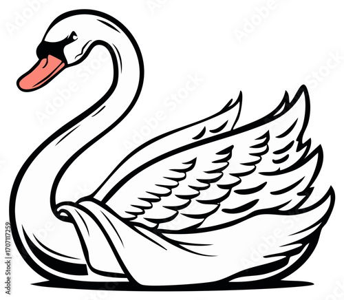 Elegant swan illustration with graceful pose, featuring stylized outlines and a pink beak