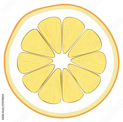 Bright yellow citrus fruit slice showing internal segments and outer rind in a clean graphic illustration