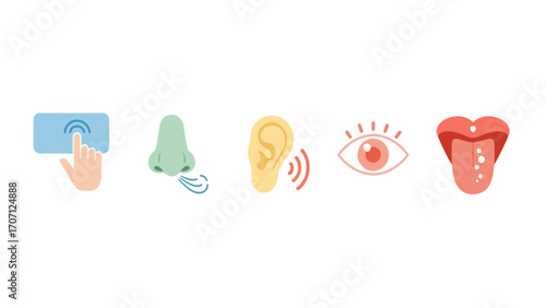 A collection of colorful flat design icons representing the five human senses. Vector symbols for sight, sound, smell, taste, and touch on a white background