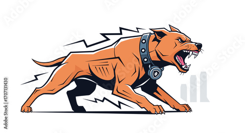 An angry muscular dog wearing a studded collar with a badge is growling loudly and appears aggressive.
