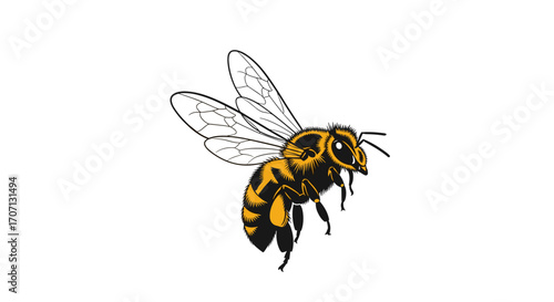 A detailed illustration of a bee in flight with its wings outstretched and body clearly visible.