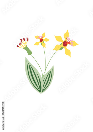 Tropical Orchid Flowers.ai
