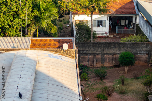 View of urban lots with four different houses, showing backyards, vegetation, a vulture on the roof, and daily life aspects in a residential area of the Brazilian countryside.