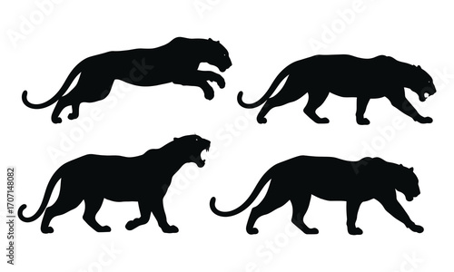 Silhouette of panthers in various poses isolated on white background vector illustration of a panther in different positions, such as walking, running, and roaring