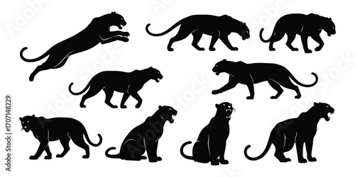 Set of black panther silhouettes isolated on white background vector illustration of a panther in different poses, walking, jumping, sitting, and roaring