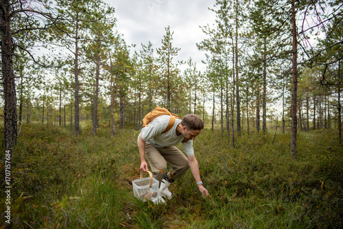 Obraz na plátně Interested man forager picking wild fungi from forest while crouching among trees in fall season woodland