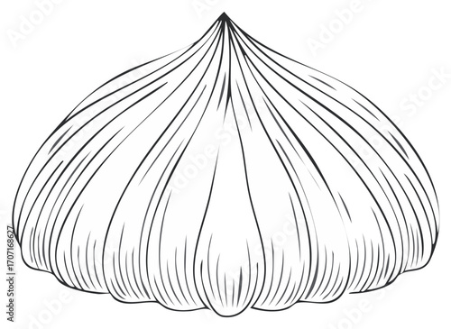 Monochrome Graphic Illustration of Garlic Bulb with Detailed Line Work