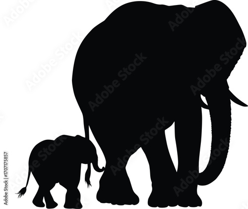 elephant animal silhouette