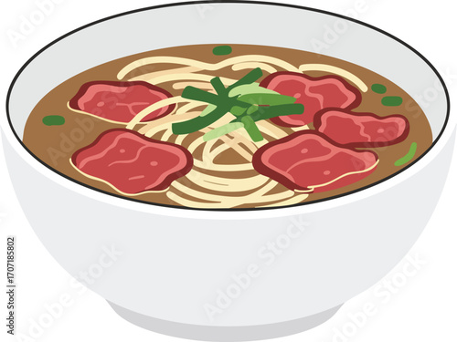 A white bowl filled with delicious beef noodle soup, garnished with green onions.