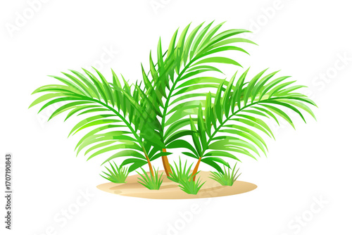 A cluster of vibrant green palm fronds with small grass shoots on sandy ground