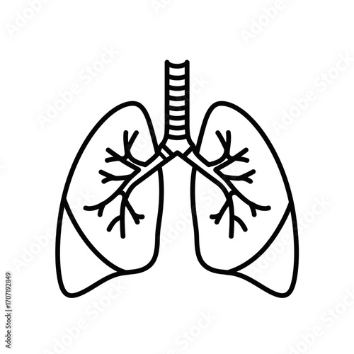 lungs, icon, vector, respiratory, system, anatomy, human, organ, outline, medical, health, biology, silhouette, graphic, design, illustration, breathing, bronchial, airways, chest, ribcage, oxygen, tr