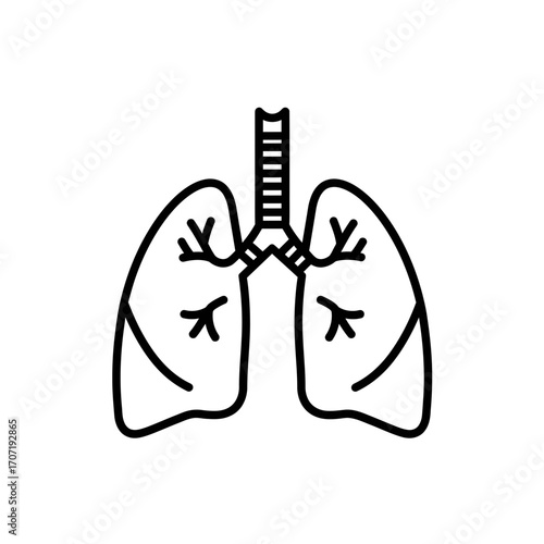 lungs, icon, vector, respiratory, system, anatomy, human, organ, outline, medical, health, biology, silhouette, graphic, design, illustration, breathing, bronchial, airways, chest, ribcage, oxygen, tr