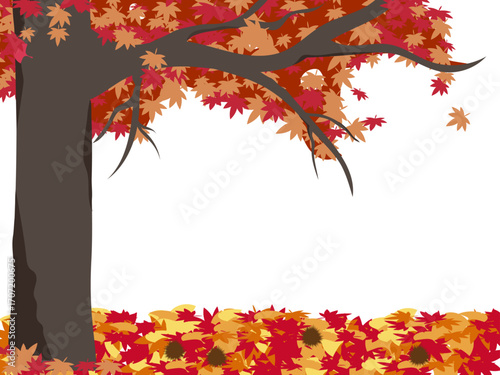 紅葉した木と下に落ちている毬栗