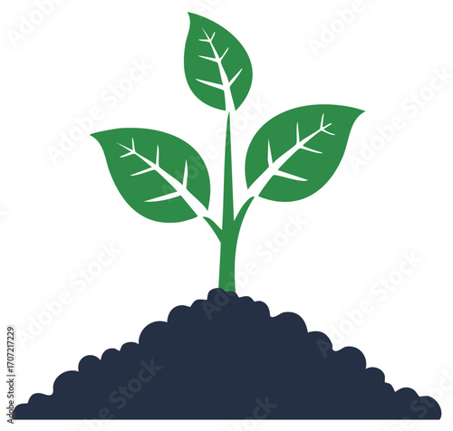 Young green plant grows from soil, growth process, organic farming, new life symbol