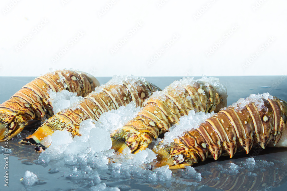 Naklejka premium seefood