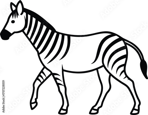 Vector art of a black and white illustration of a zebra walking