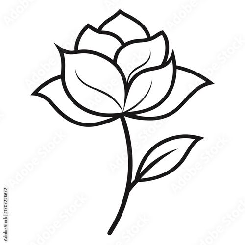  rape-kiel flower vector line art flower  on white background