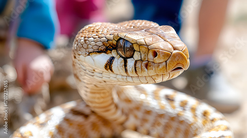 Wallpaper Mural snake on a white background Torontodigital.ca