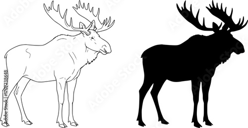 Two moose standing side by side one in outline and the other in black silhouette with large antlers editable vector eps/eps
