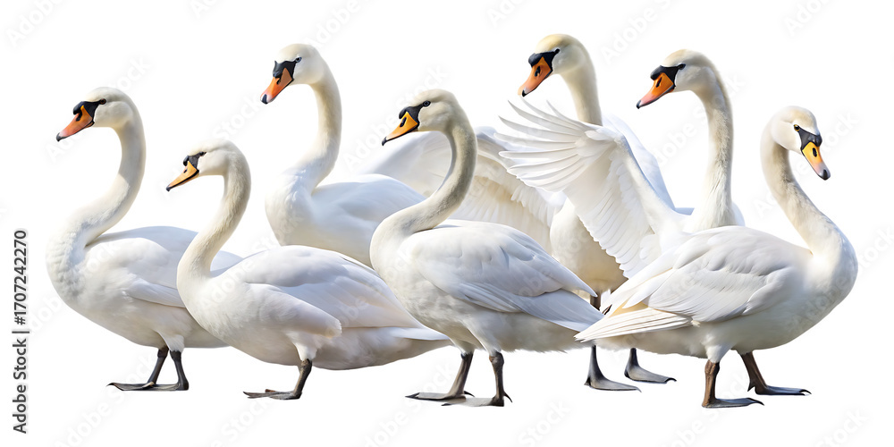 Obraz premium png, ai generated