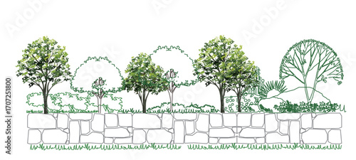 Cad tree line minimal style, set of graphics trees elements outline symbol for architecture and landscape design drawing. Vector illustration.
