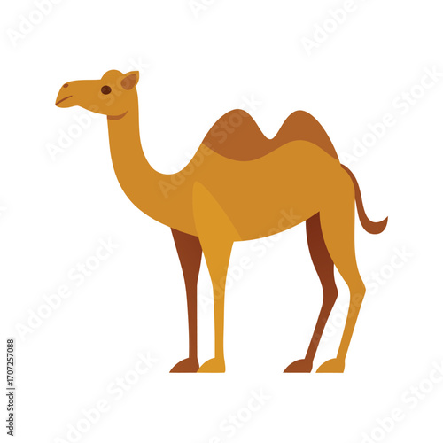 desert-camel-on-white-background.eps