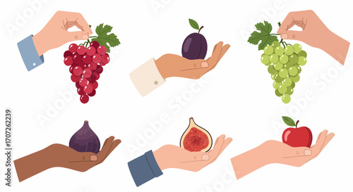 Set of diverse human hands holding various fresh fruits like grapes plums figs and an apple.