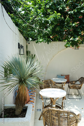 Exterior decoration and design at garden terrace and patio decorated with tropical furniture in Mediterranean style