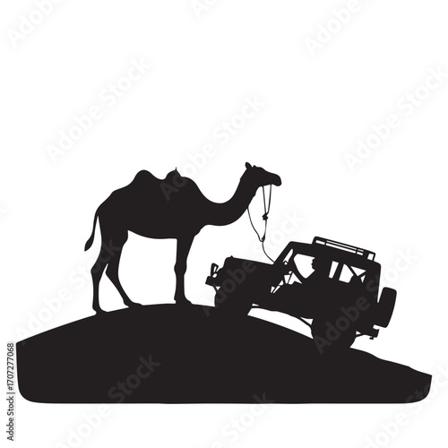 silhouette of camel in the desert with car