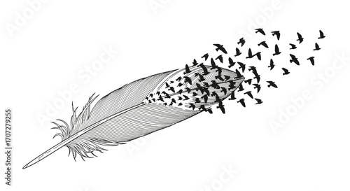 Black and white illustration of a feather dissolving into a flock of birds flying away, symbolizing freedom and transformation.