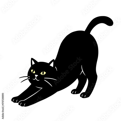 Black cat stretching with arched back on a white background for Halloween  